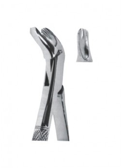 Extracting Forceps